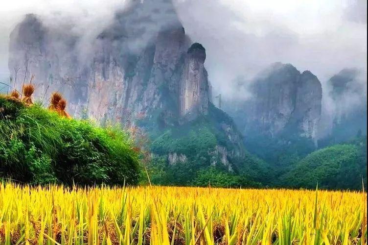 探索未知山峰