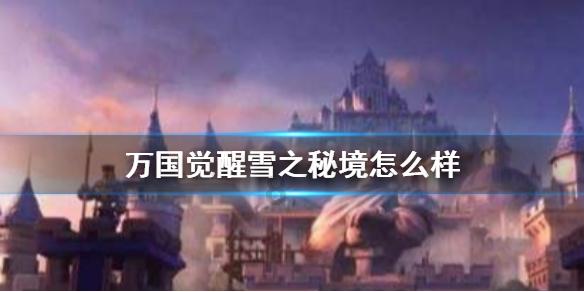 救援大嘴鸟