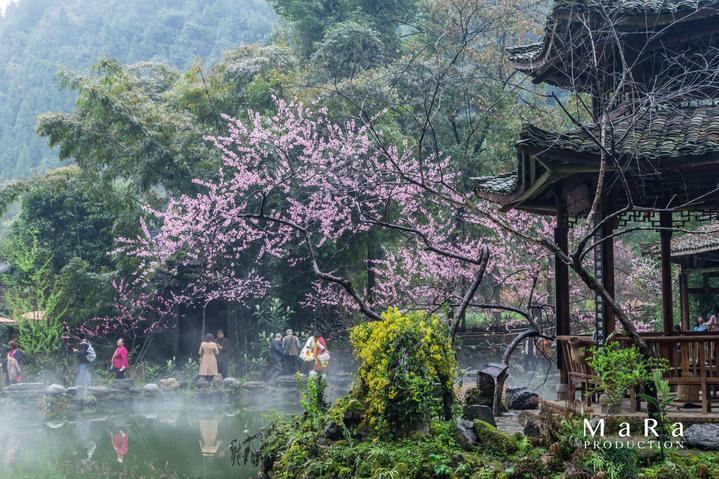 密室之错语因果