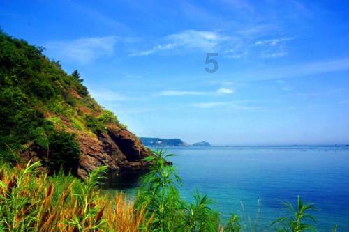 山东9单位入选国家级智慧健康养老应用试点示范