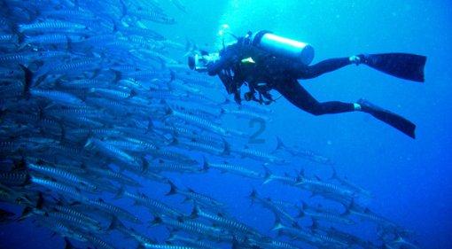 青海通报6起违反中央八项规定精神典型问题
