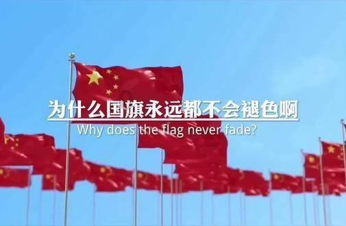 穿越遗弃的森林