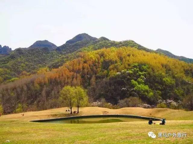 探索北京商场上架千元一斤荔枝,为什么荔枝能卖这么贵?,解锁你的疑惑之门