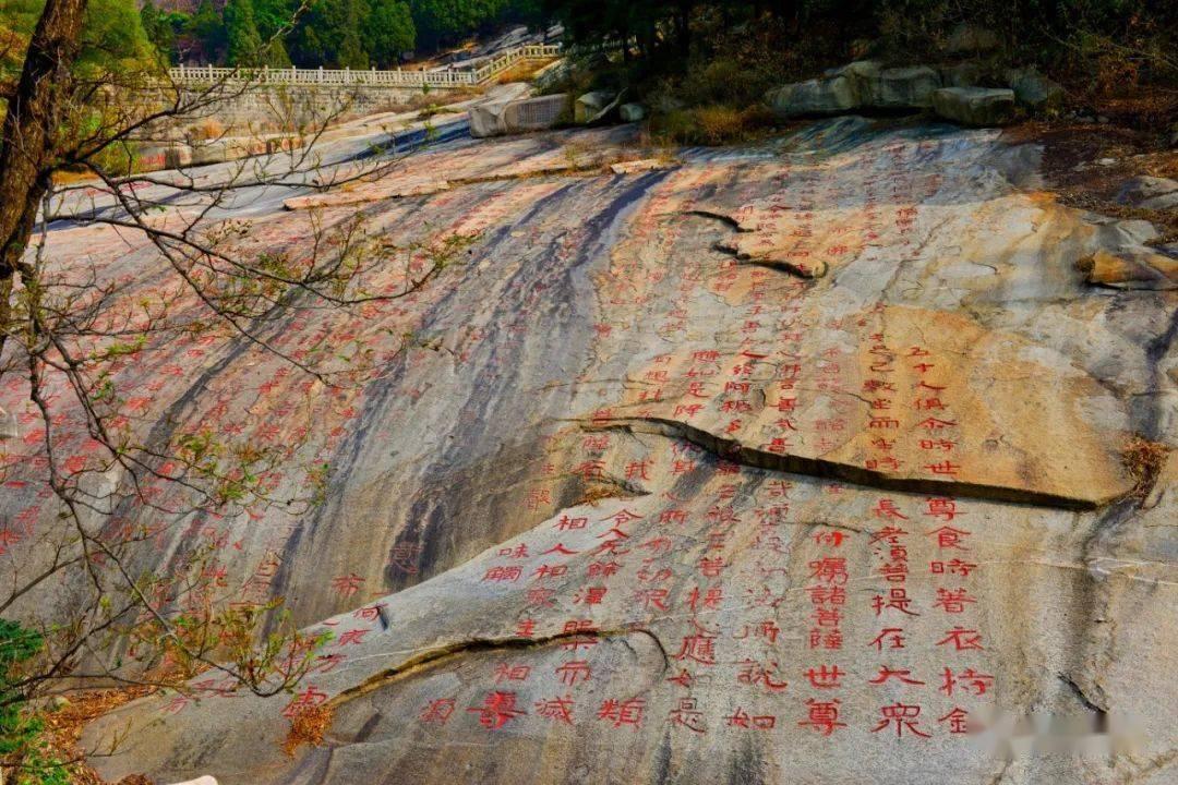 最爱巧克力纸杯蛋糕