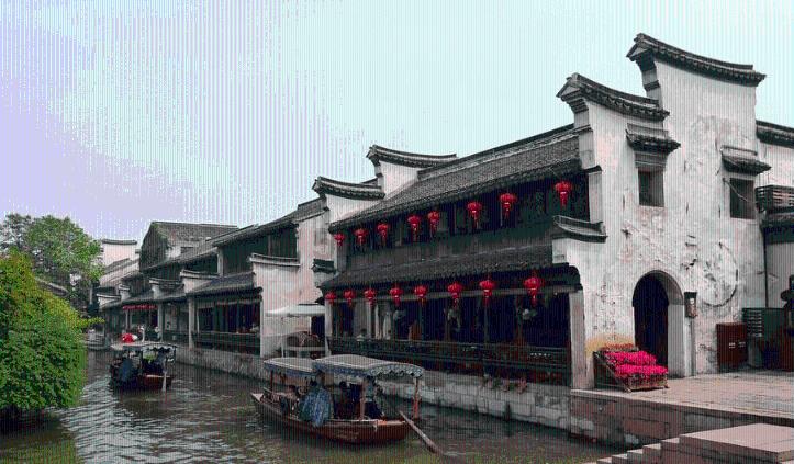 拯救可爱小浣熊